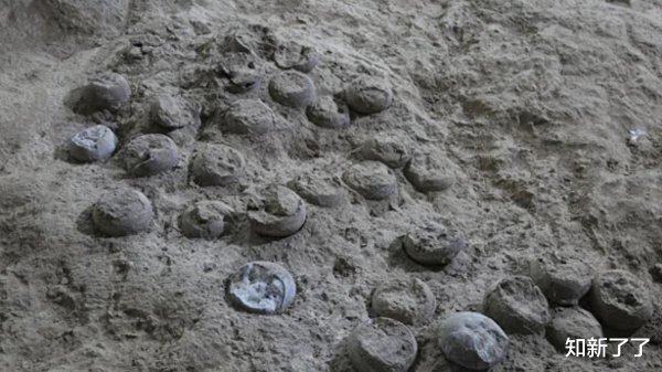 峪科配资 全球首次: 激光&quot;原子钟&quot;精准测定中国恐龙蛋化石年代